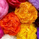 CLAIREFONTAINE Tissue Paper 18gsm 50cm x 75cm x 8 Violet