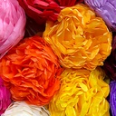 CLAIREFONTAINE Tissue Paper 18gsm 50cm x 75cm x 8 Dark Purple