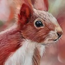 CLAIREFONTAINE Pastelmat 360gsm A3 x 5 Anthracite