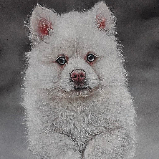 CLAIREFONTAINE Pastelmat 360gsm A3 x 5 Anthracite