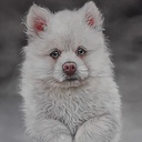 CLAIREFONTAINE Pastelmat 360gsm A3 x 5 Anthracite