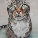 CLAIREFONTAINE Pastelmat 360gsm A3 x 5 Anthracite