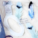 BGM The Museum Deco Sticker Natural History Aoba