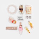 BGM The Museum Deco Sticker Natural History Kinwa