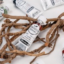 SCHMINCKE Horadam Naturals 15ml Dragon's Blood