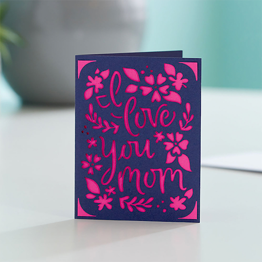OVJ CRICUT Joy Insert Cards 4.25" x 5.5" Sampler Sensei