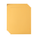 OVJ CRICUT Joy Xtra Printable Vinyl A4 Gold x 10