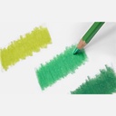 CARAN D'ACHE Pablo Color Pencil Spruce Green