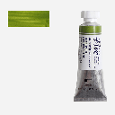 SHINHAN Premium Watercolor 15ml 561 Terre Verte (Yellow Shade)