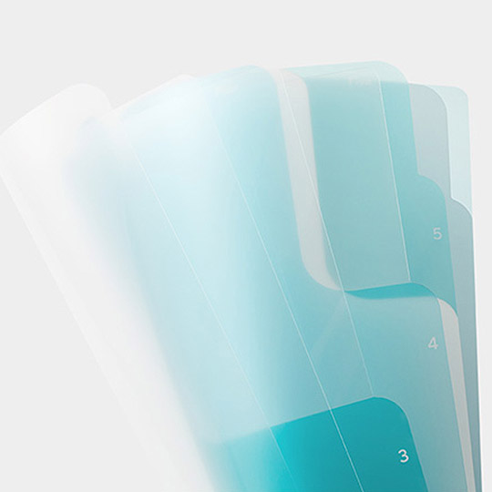 MIDORI 5-Pocket Clear Folder <A4>  2-Way Blue A