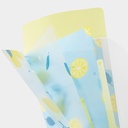 MIDORI 3-Pocket Clear Folder With Flap A5 Slim Lemon