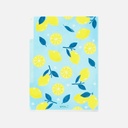 MIDORI 3-Pocket Clear Folder A5 Lemon