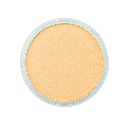 PANPASTEL Artist Pastel Pearlescent Orange