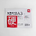 DELI Hard Card Case A3