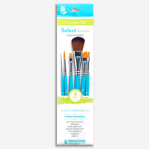 PRINCETON Select Value Brush Set 20 x 6