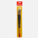 PRINCETON Snap! Natural Bristle Brush Set x 3 (Long Handle)