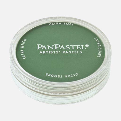 PANPASTEL Artist Pastel Permanent Green Shade