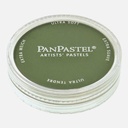 PANPASTEL Artist Pastel Chromium Oxide Green Shade