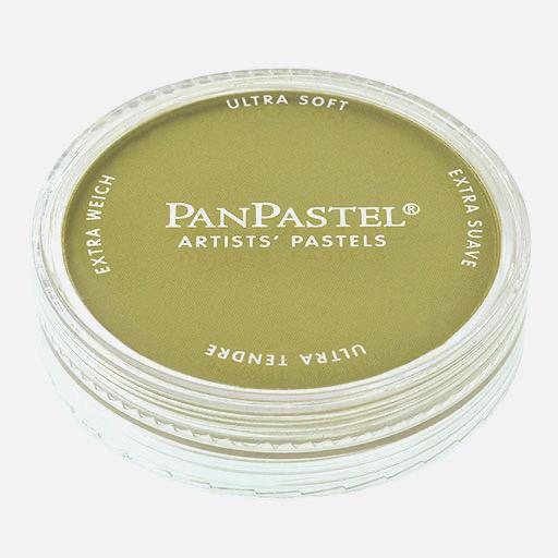 PANPASTEL Artist Pastel Bright Yellow Green Shade