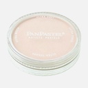 PANPASTEL Artist Pastel Raw Umber Tint