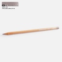 CARAN D'ACHE Luminance Color Pencil Sepia 10%