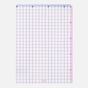 MIDORI Section Underlay Red