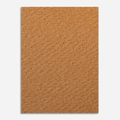 CLAIREFONTAINE Etival Color Dry Media Paper 160gsm 50cm x 65cm Rust