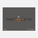 SHINHAN Paper Palette 70gsm 25cm x 35cm x 20