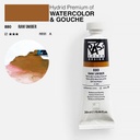 SHINHAN Pass Hybrid Gouache 20ml Raw Umber