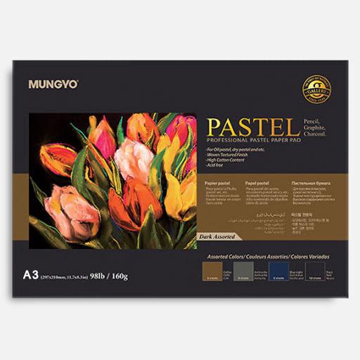 MUNGYO Pastel Paper Pad 160gsm A3 Dark Colors x 20