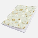 GEORGES LALO Season Paper 100th Anniversary Notebook 90gsm A5 x 50 Pastel Green