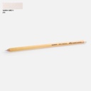 FABER-CASTELL Pitt Pastel Pencil 270 Warm Grey I