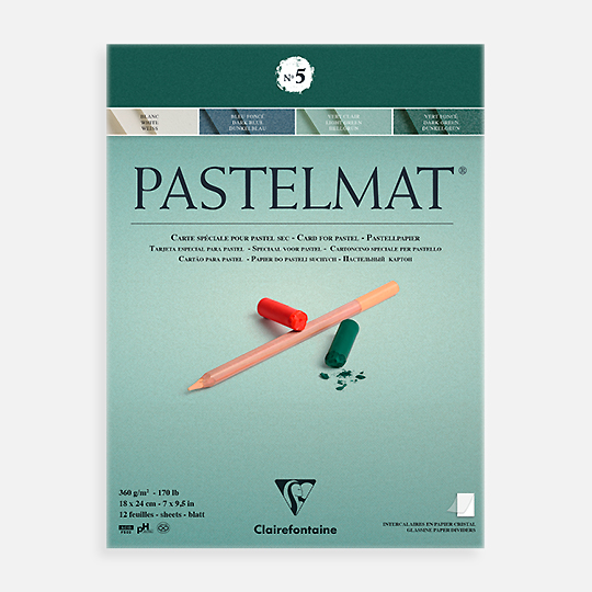 CLAIREFONTAINE Pastelmat Card For Pastel 360gsm 24cm x 30cm x 12 No. 5