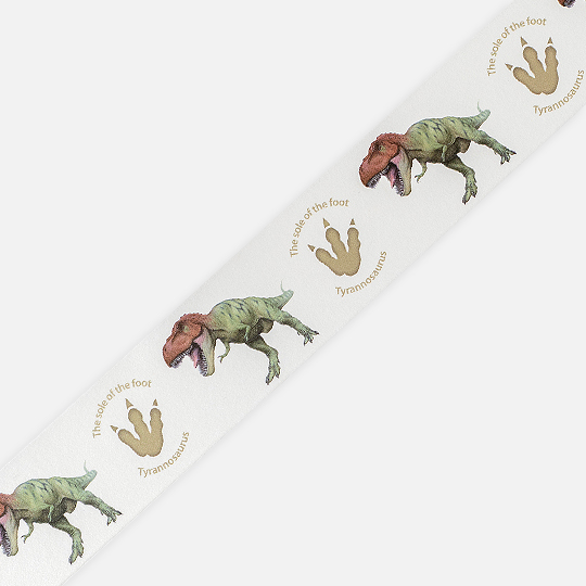 OKINA Dinosaur Washi Tape 30mm x 7m Tyrannosaurus