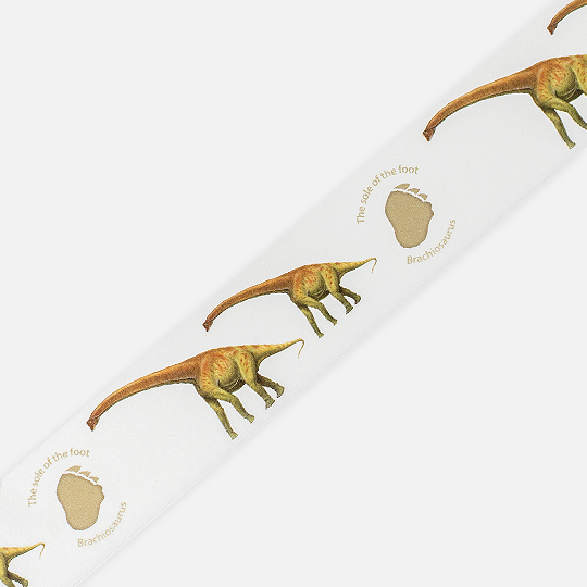 OKINA Dinosaur Washi Tape 30mm x 7m Brachiosaurus
