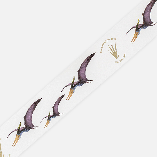 OKINA Dinosaur Washi Tape 30mm x 7m Pteranodon