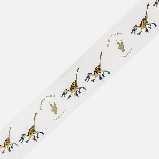 OKINA Dinosaur Washi Tape 30mm x 7m Velociraptor