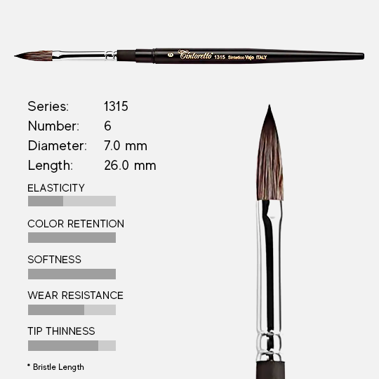 TINTORETTO Kazan Squirrel Synthetic Cat’s Tongue Brush 6