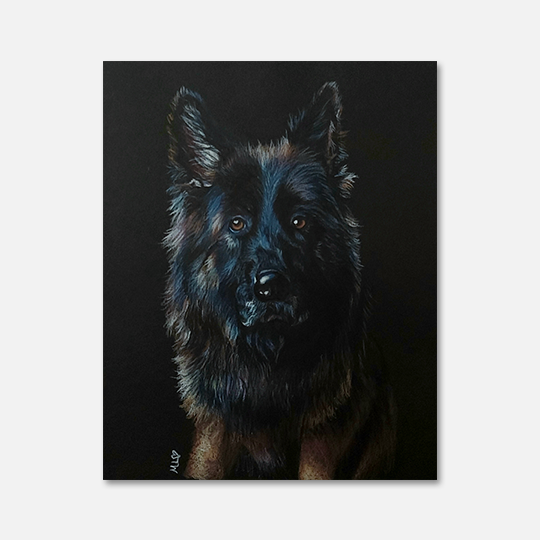 MONICA.LIM Doggo's Got The Blues Collection