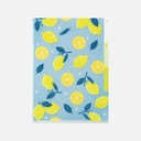 MIDORI Clear Folder 3-Pocket A5 Lemon