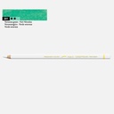 CARAN D'ACHE Pablo Color Pencil Veronese Green