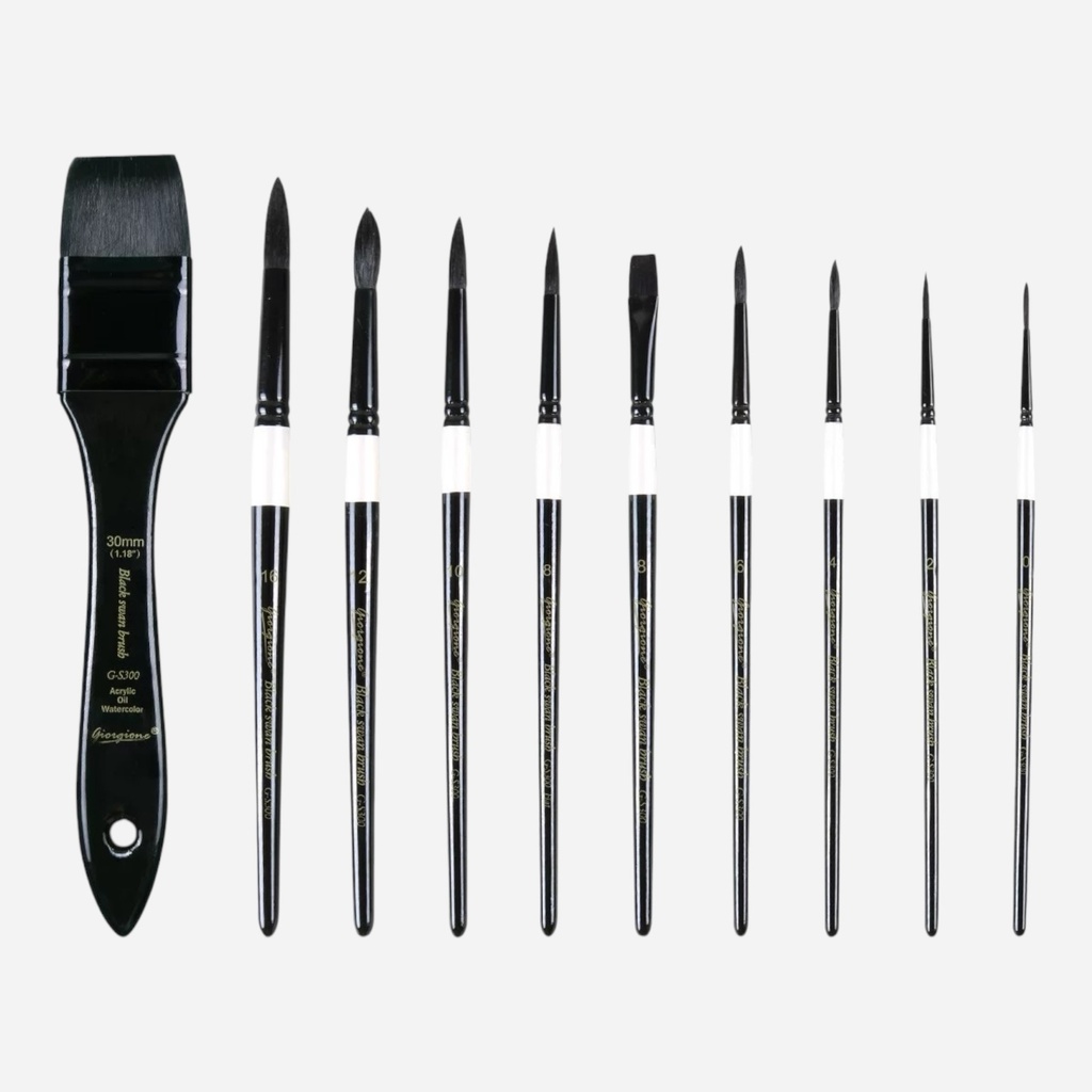 OVJ Watercolor Brush Wooden Box Set x 10