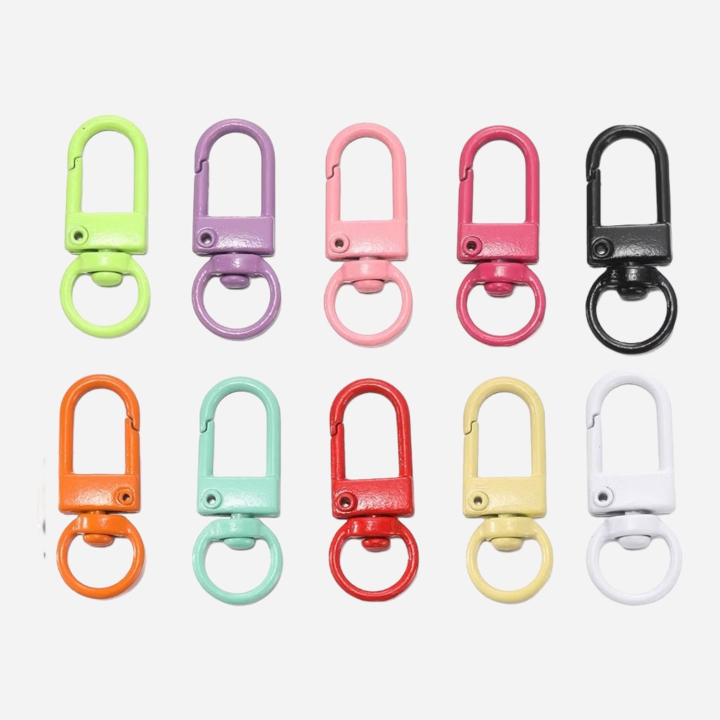 OVJ Mini Carabiner Key Chain 10-Color
