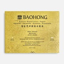 BAOHONG Artist 100% Cotton Watercolor Paper Pad Rough 300gsm 31cm x 41cm x 20