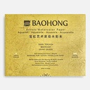 BAOHONG Artist 100% Cotton Watercolor Paper Pad Rough 300gsm 35cm x 50cm x 20