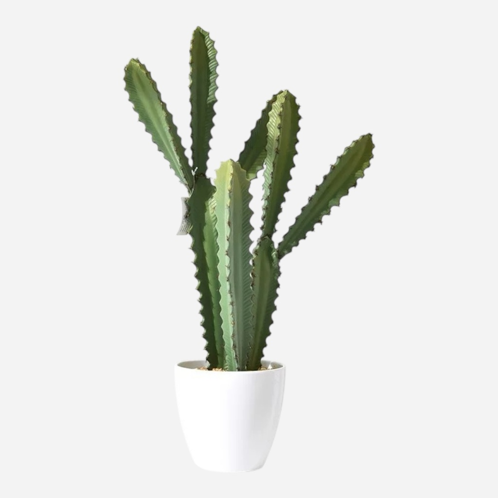 OVJ Artificial Potted Plant Cactus 60cm