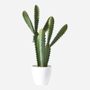 OVJ Artificial Potted Plant Cactus 60cm