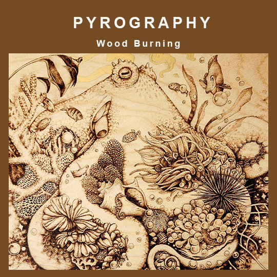 DISCOVER Pyrography Wood Burning By TASA