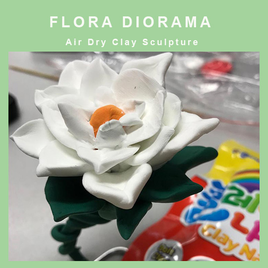 DISCOVER Flora Clay Diorama By TASA