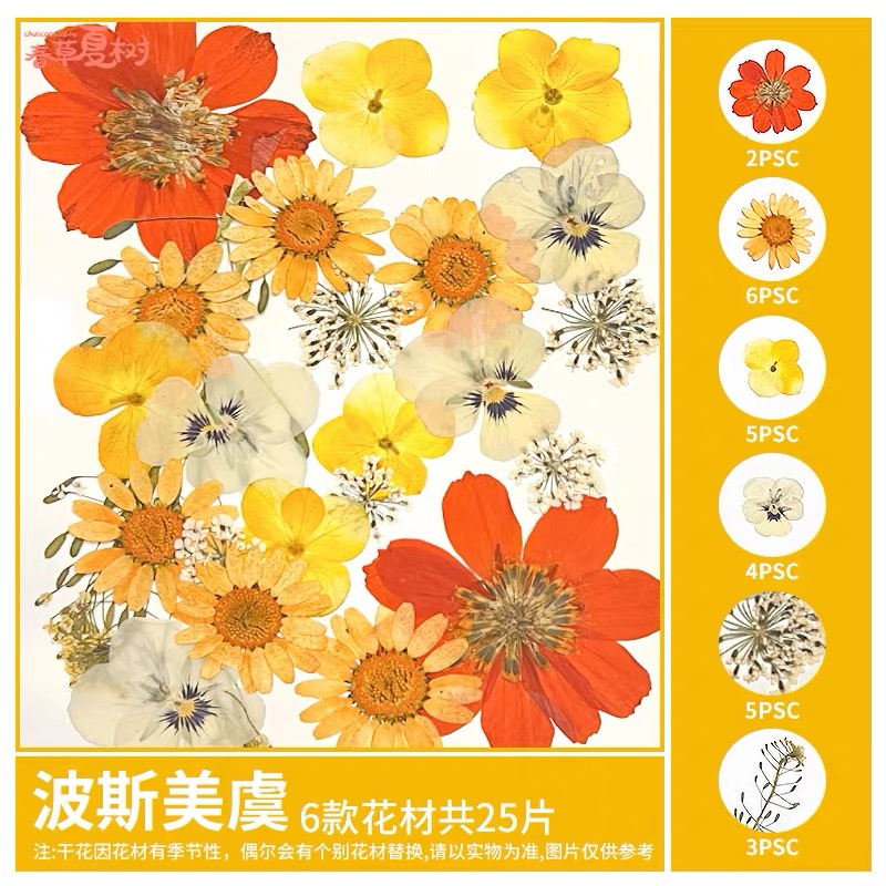 OVJ Craft Dried Flower Yellows